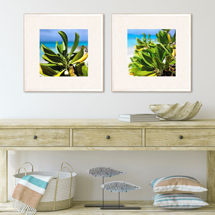 Sea and Sand Coastal Botanical Framed Wall Art Set