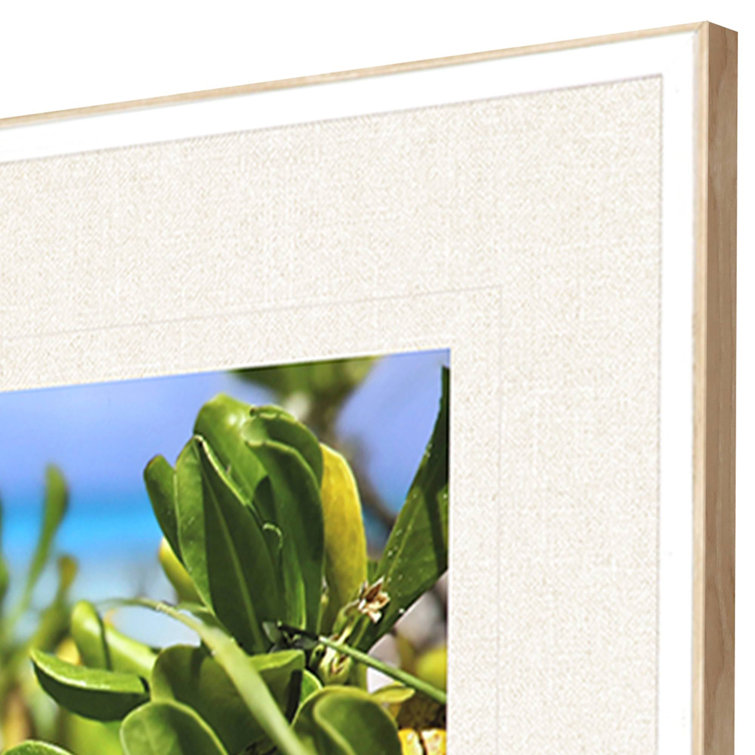 Sea and Sand Coastal Botanical Framed Wall Art Set