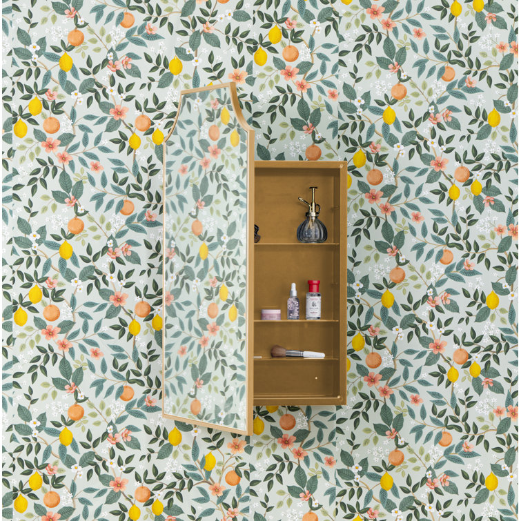 Simone Gold Metal Recess and Surface Mount Medicine Cabinet