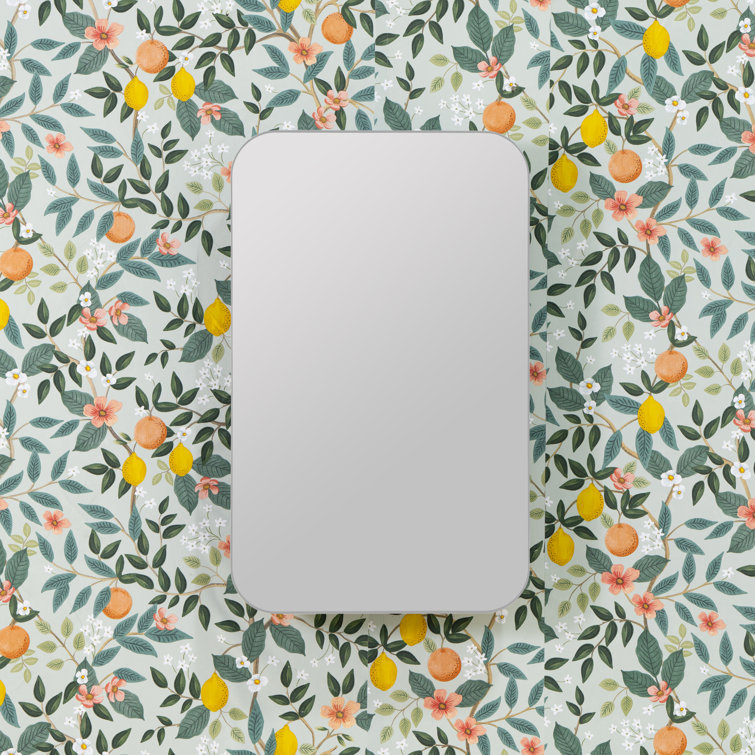 Silver Metal Slim Frame Medicine Cabinet with Mirror