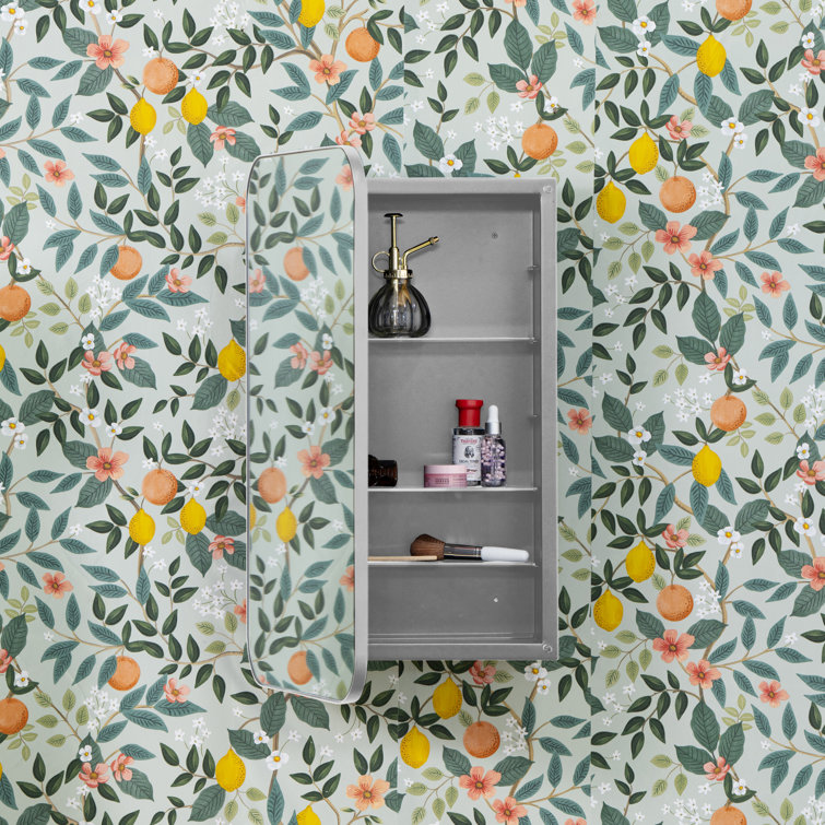 Silver Metal Slim Frame Medicine Cabinet with Mirror