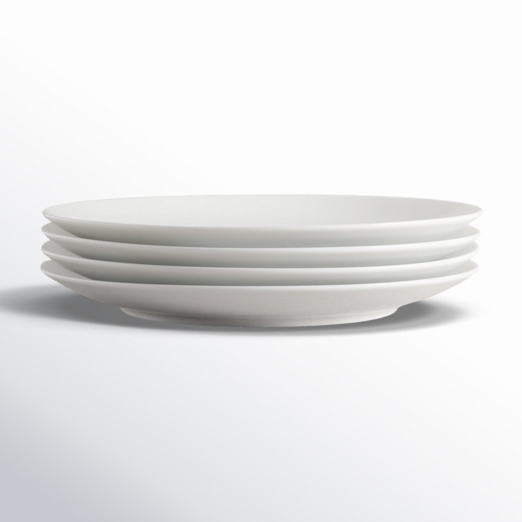 White Organic Porcelain Dinner Plate Set of 4