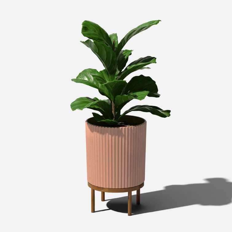 Terracotta Large Round Planter with Acacia Wood Stand