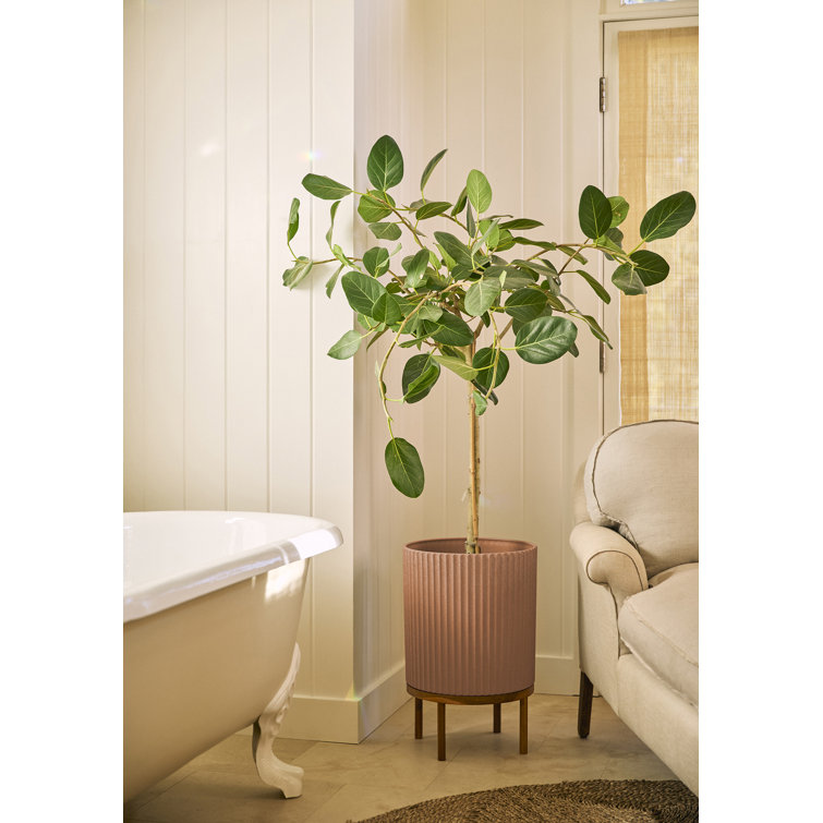 Terracotta Large Round Planter with Acacia Wood Stand