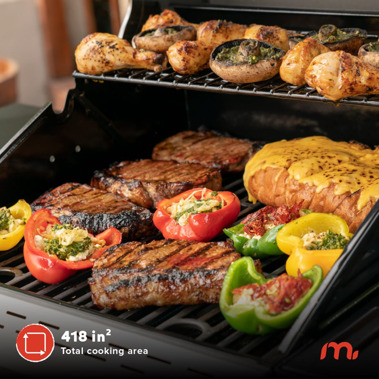 Megamaster 2-Burner Stainless Steel Propane Gas Grill with Foldable Side Tables