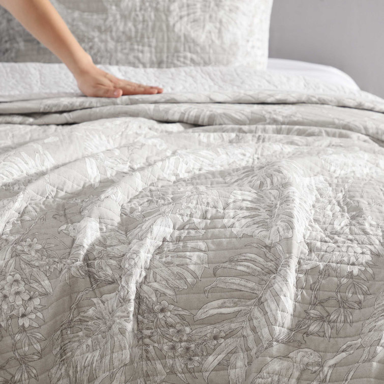 Gray Twin Cotton Reversible Quilt Set with Plant Motif