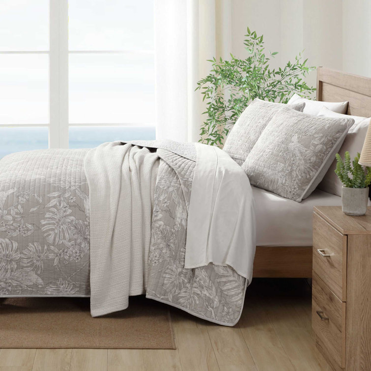Gray Twin Cotton Reversible Quilt Set with Plant Motif
