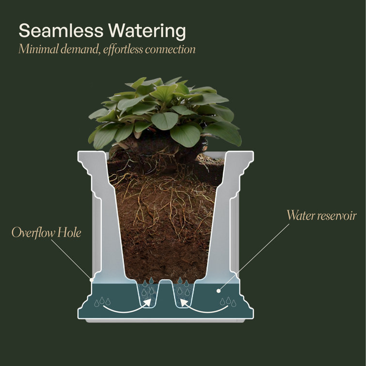 Fairfield Espresso Resin 36" Self-Watering Window Box Planter