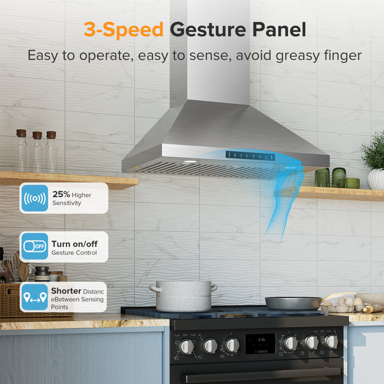 36'' Stainless Steel Convertible Wall Mount Range Hood with Charcoal Filter