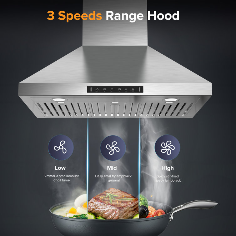36'' Stainless Steel Convertible Wall Mount Range Hood with Charcoal Filter