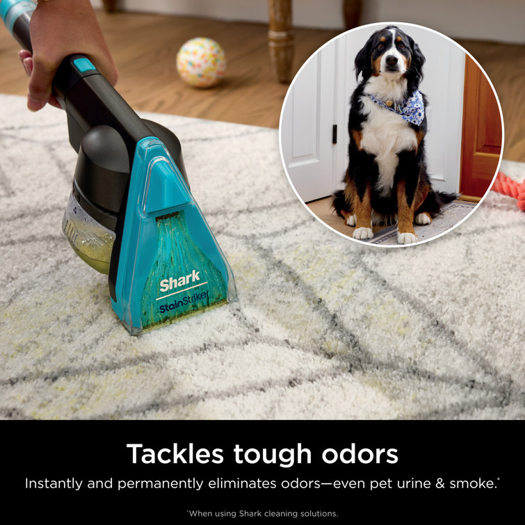 Shark CarpetXpert HairPro Gray Upright Carpet and Upholstery Cleaner