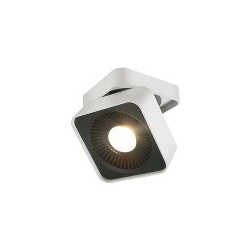 White Adjustable LED Flush Mount Light