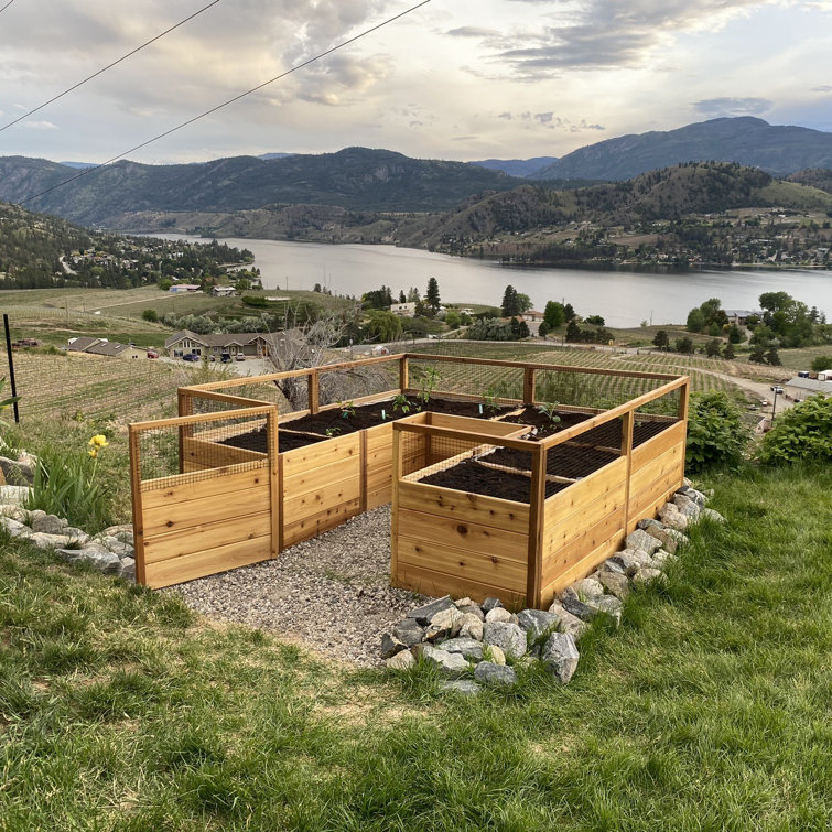 8 ft. x 8 ft. Cedar Raised Garden Bed with Mesh Fencing