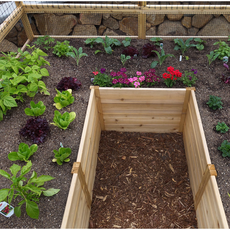 12 ft Cedar Raised Garden Bed with Wire Mesh