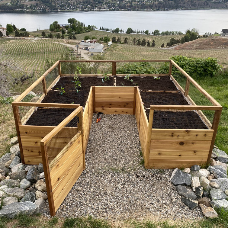 8 ft. x 8 ft. Cedar Raised Garden Bed with Mesh Fencing