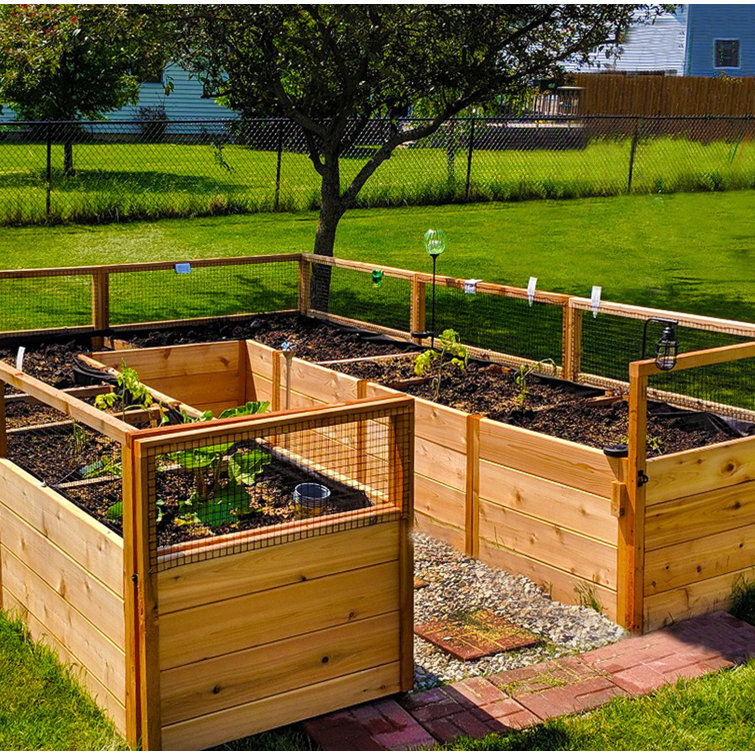 12 ft Cedar Raised Garden Bed with Wire Mesh