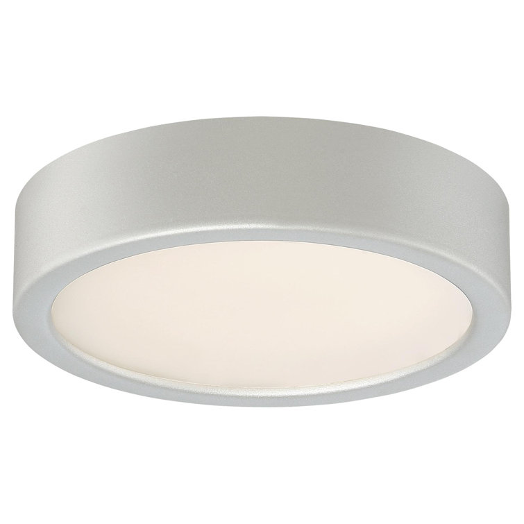 Silver Glass LED Flush Mount Light for Indoor/Outdoor