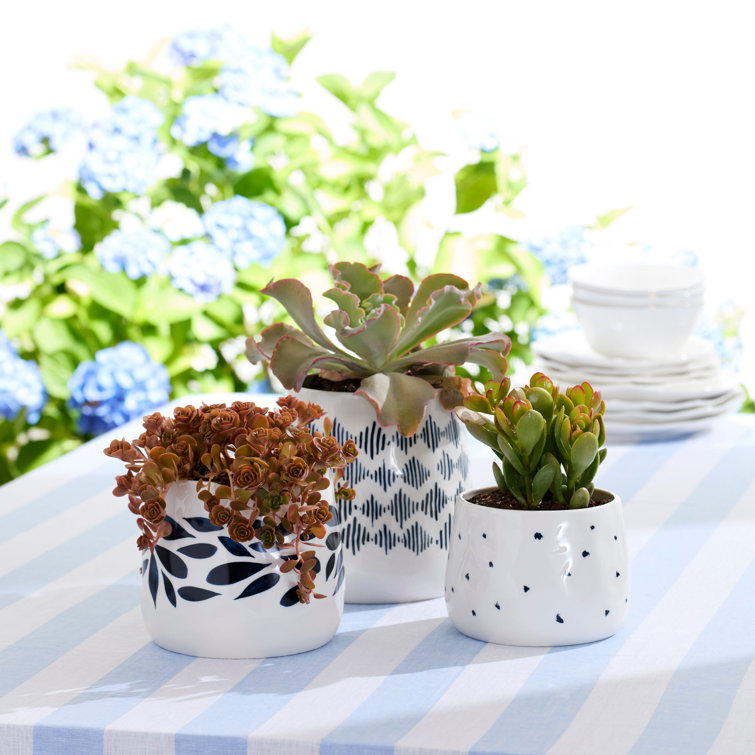 Blue and White Porcelain Canister Set with Wooden Lids