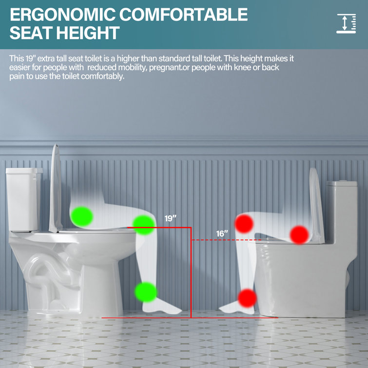 Aguamaph 20 in. White Elongated Two-Piece Toilet with Seat