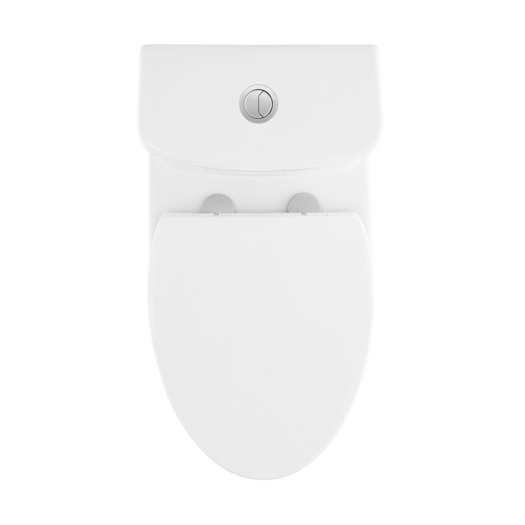 Fulton Glossy White Ceramic One-Piece Elongated Dual-Flush Toilet