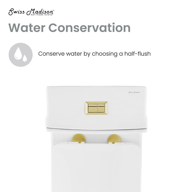 Concorde White One Piece Dual Flush Toilet with Brushed Gold Hardware