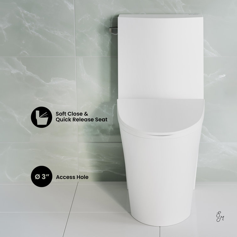 Glossy White High Efficiency One-Piece Elongated Toilet