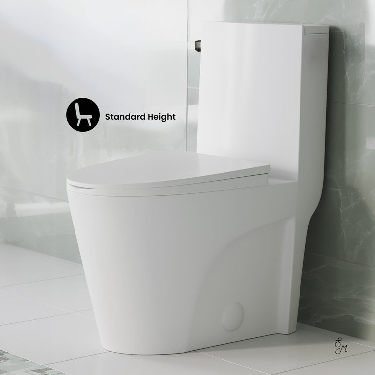 Glossy White High Efficiency One-Piece Elongated Toilet