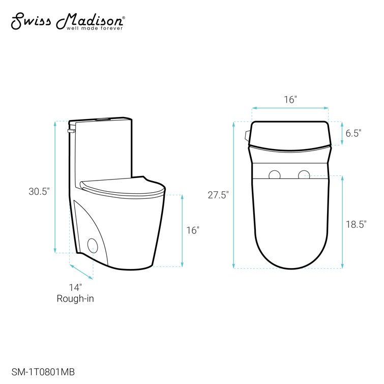 Matte Black High Efficiency One-Piece Elongated Toilet