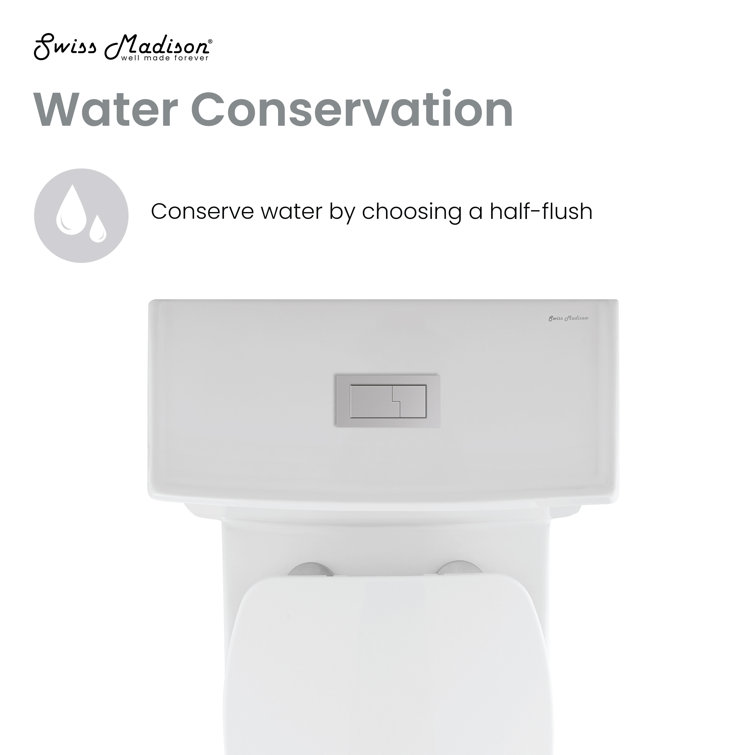 Voltaire White Ceramic One-Piece Elongated Dual Flush Toilet