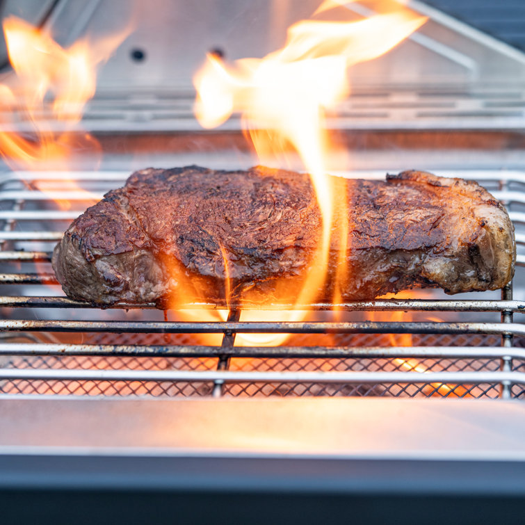 Stainless Steel 4-Burner Propane Gas Grill with Infrared Side Burner