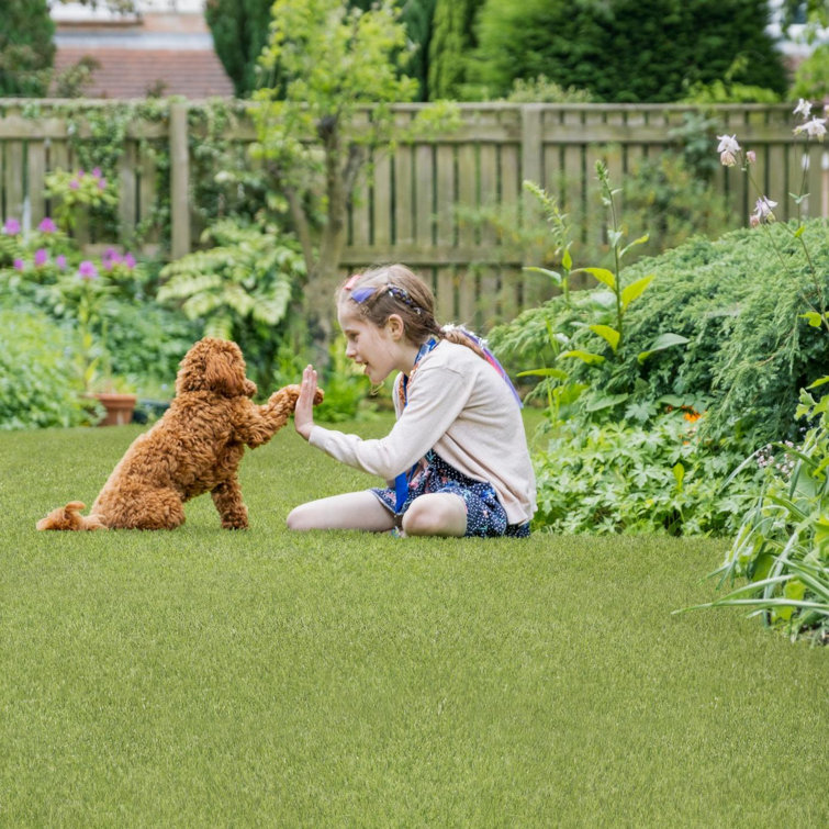 Emerald Green 6 ft x 8 ft Artificial Grass Rug