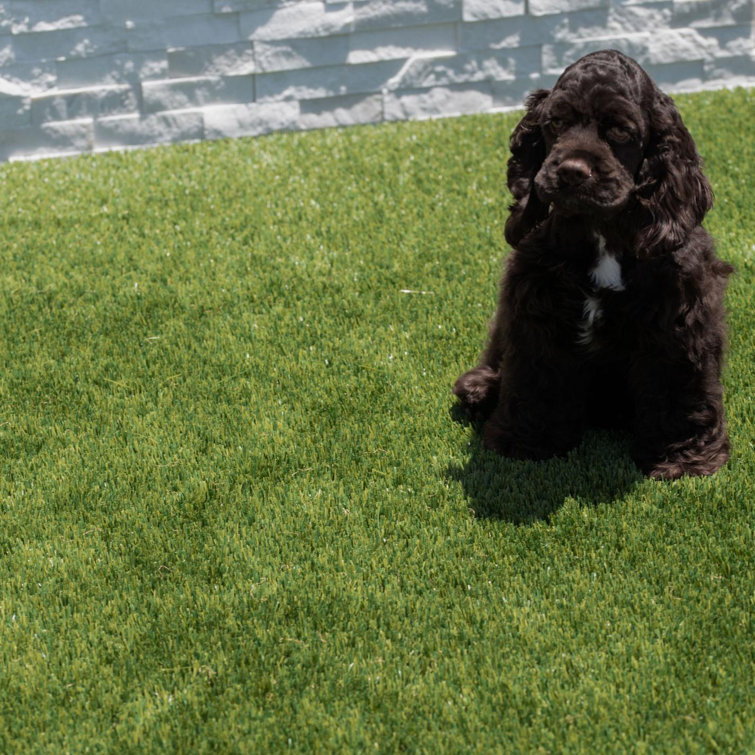 Emerald Green 6 ft x 8 ft Artificial Grass Rug