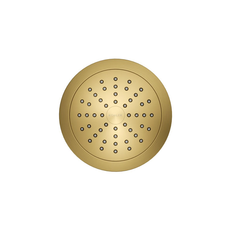 Vibrant Brushed Brass Wall Mounted Filtered Showerhead