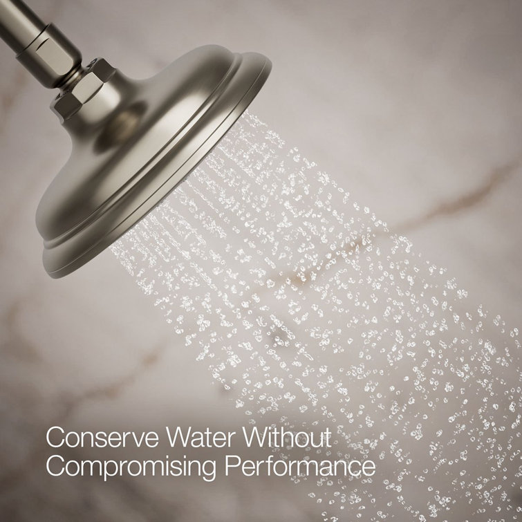 Artifacts Elegance Wall-Mounted Shower Head in Vibrant Brushed Nickel