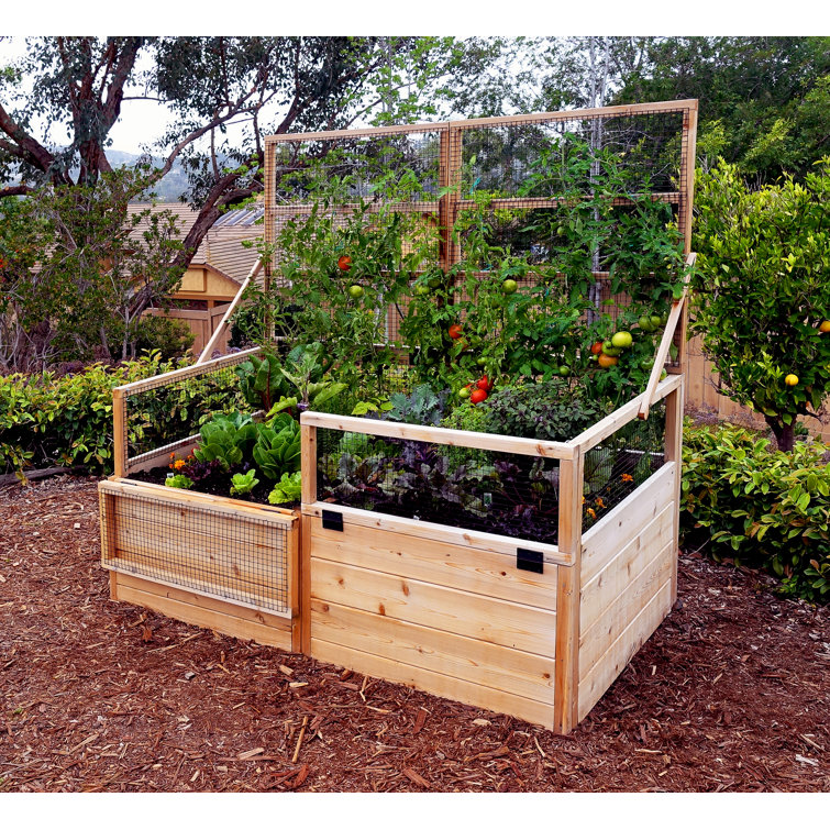 6 ft x 3 ft Cedar Raised Garden Bed with Wire Mesh