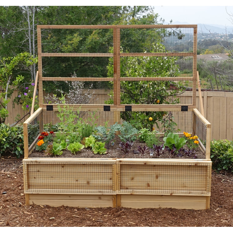 6 ft x 3 ft Cedar Raised Garden Bed with Wire Mesh