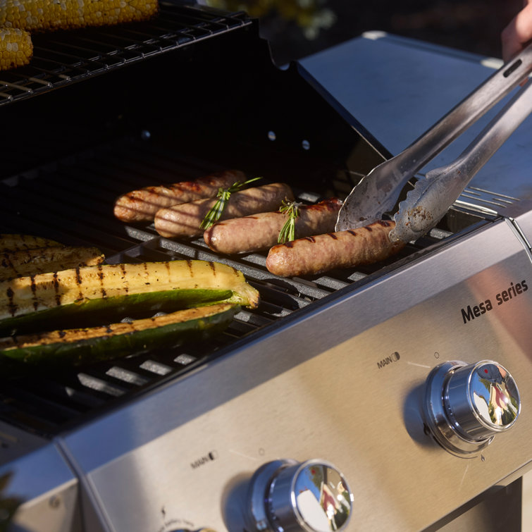 Mesa 2-Burner Stainless Steel Propane Gas Grill with LED Controls