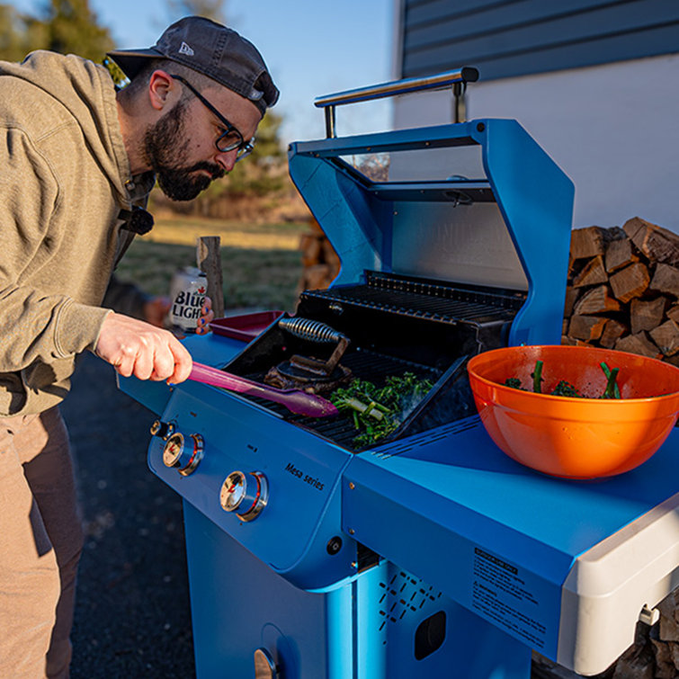 Blue 2-Burner Propane Gas Grill with Clear View Lid