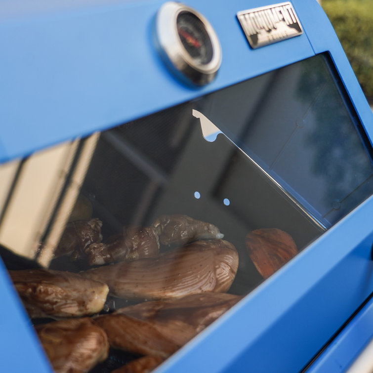 Blue 2-Burner Propane Gas Grill with Clear View Lid