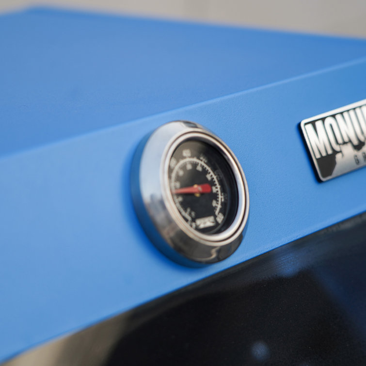 Blue 2-Burner Propane Gas Grill with Clear View Lid