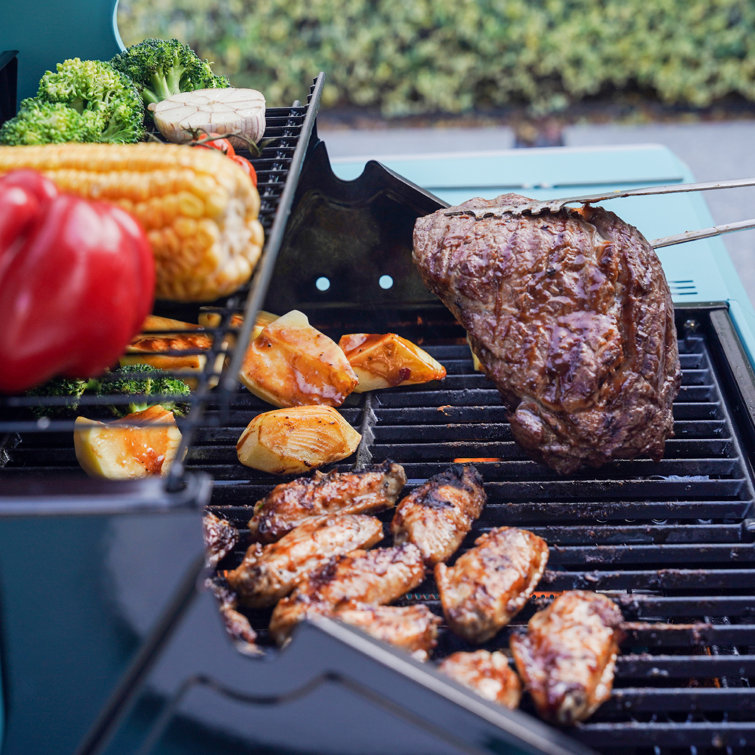 Mesa Jade Green 2-Burner Propane Gas Grill with LED Controls