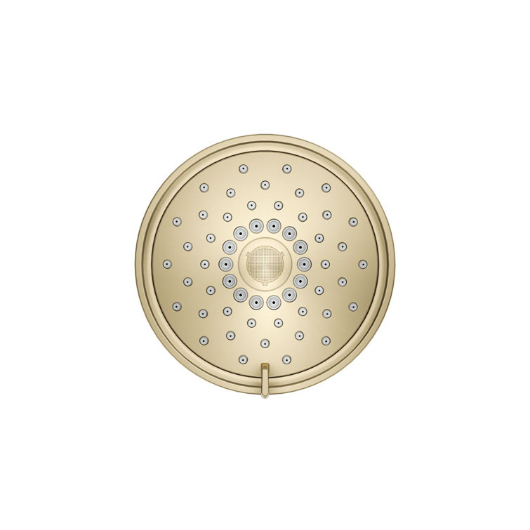 Vibrant French Gold Multi-Function Wall Mount Showerhead