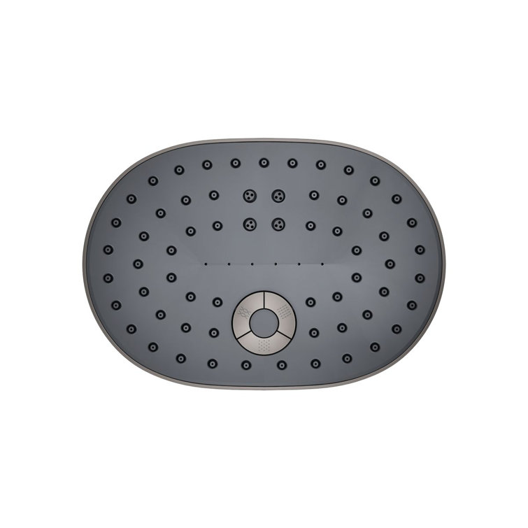 Vibrant Titanium Oval Multifunction Wall Mounted Showerhead