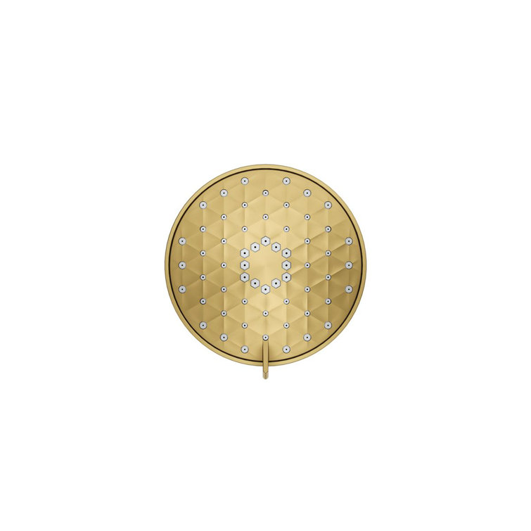 Vibrant Brushed Moderne Brass Wall Mounted Showerhead