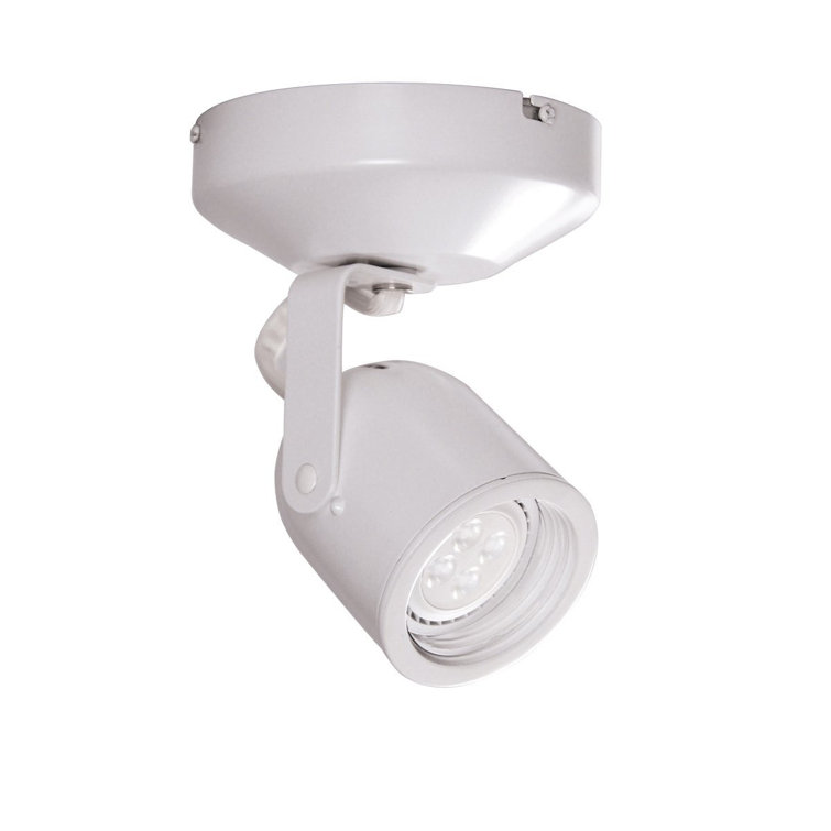White Clear Glass LED Ceiling Spotlight