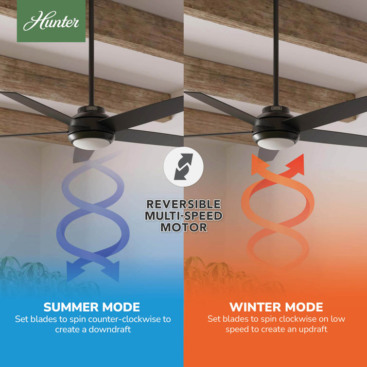 Zayden 52" Matte Black Ceiling Fan with LED Light and Remote