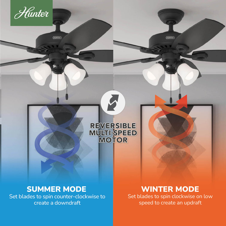 Builder 52" 5-Blade Energy Star® Standard Ceiling Fan With Lights And Pull Chain