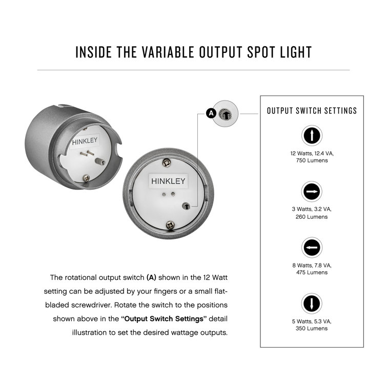 Matte Bronze LED Outdoor Spotlight with Clear Lens