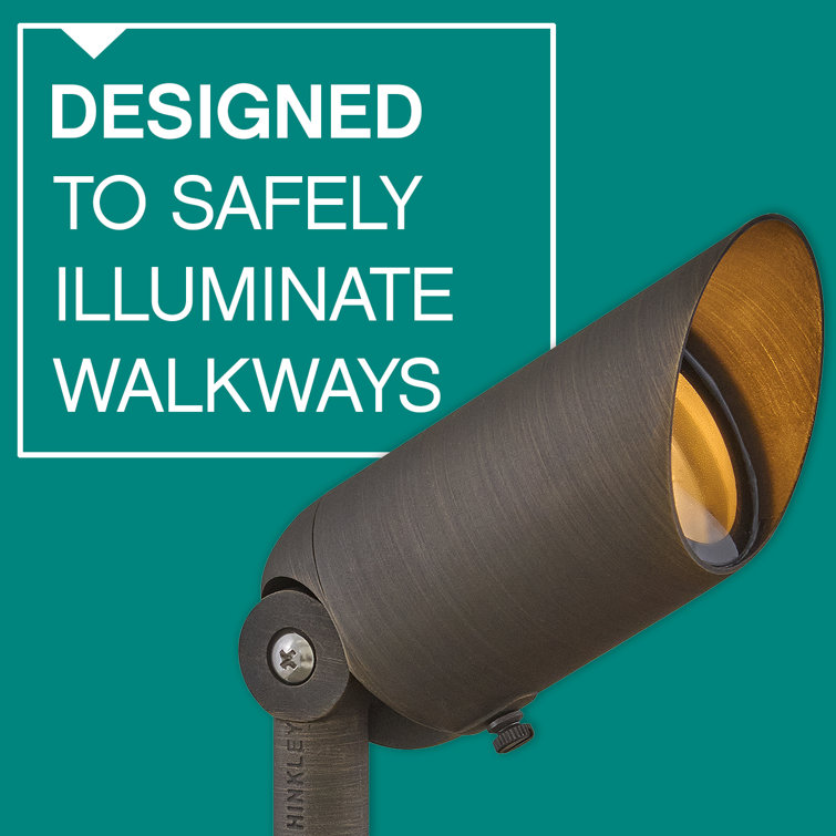 Matte Bronze LED Outdoor Spotlight with Clear Lens