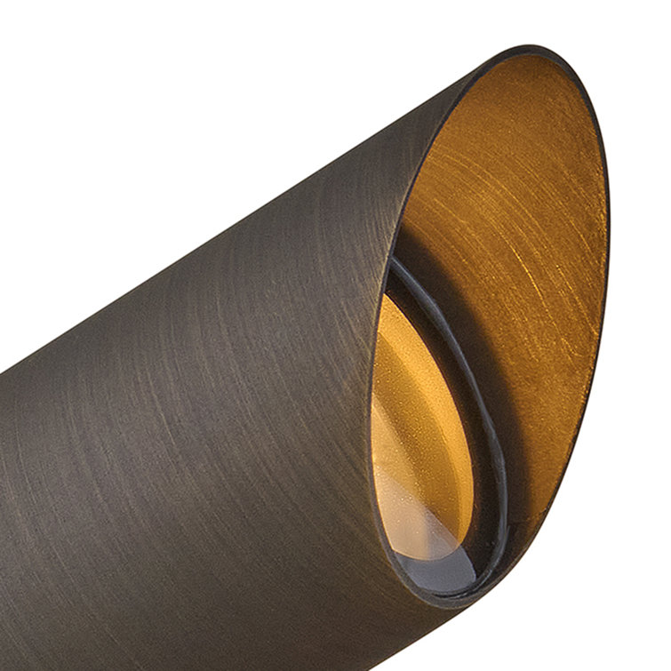 Matte Bronze LED Outdoor Spotlight with Clear Lens
